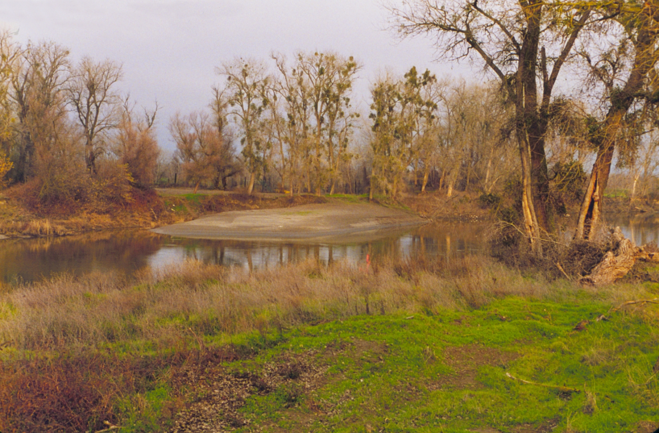 A meander in the Sacramento River just above Wilkins Slough