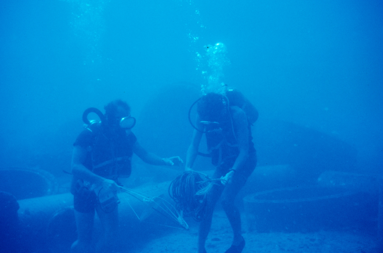 Secchi disc readings were used to determine turbidity at the reef site on a regular basis