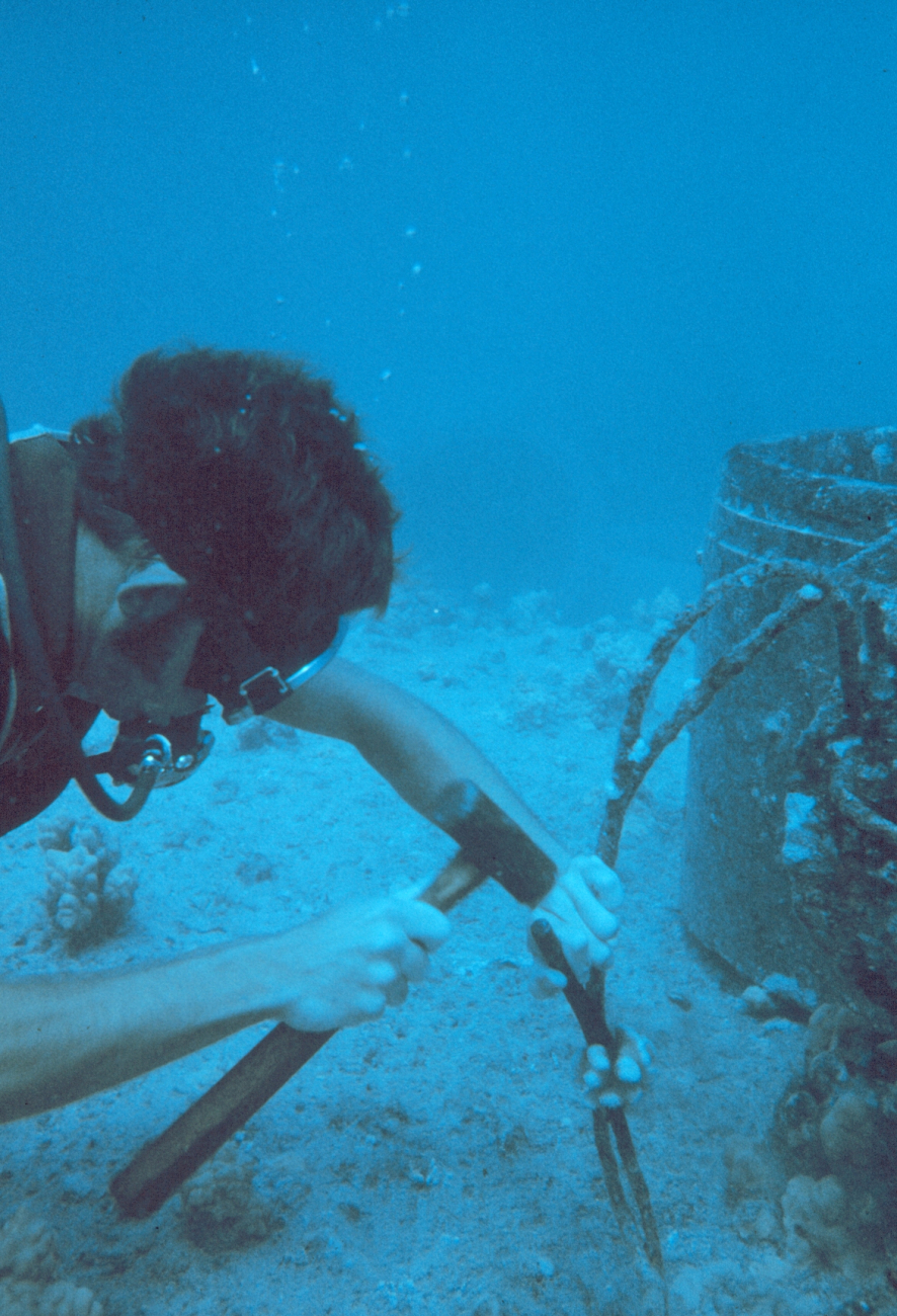 Small coral colonies were collected on pipe surfaces of know age todetermine growth rate of corals on the artificial reef
