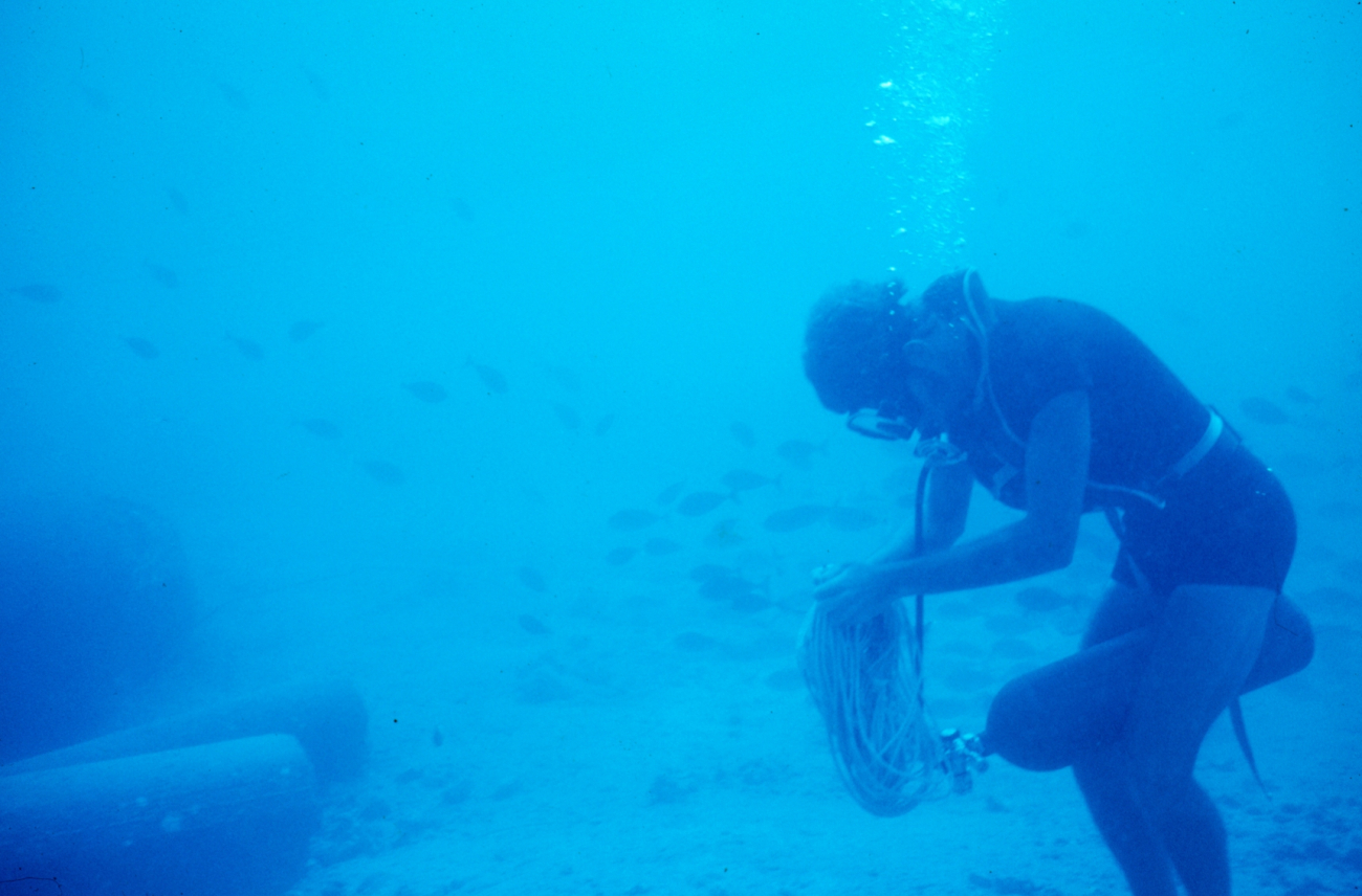 Diver disentangling rope from regulator while getting ready to laya transect line