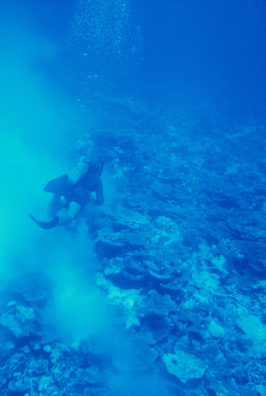Diver near seafloor with murky disturbed waters