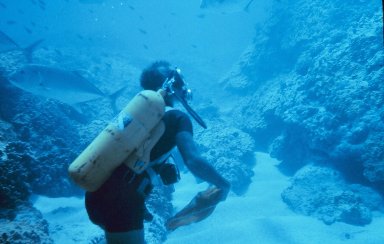 A scuba diver on a Hawaiian reef