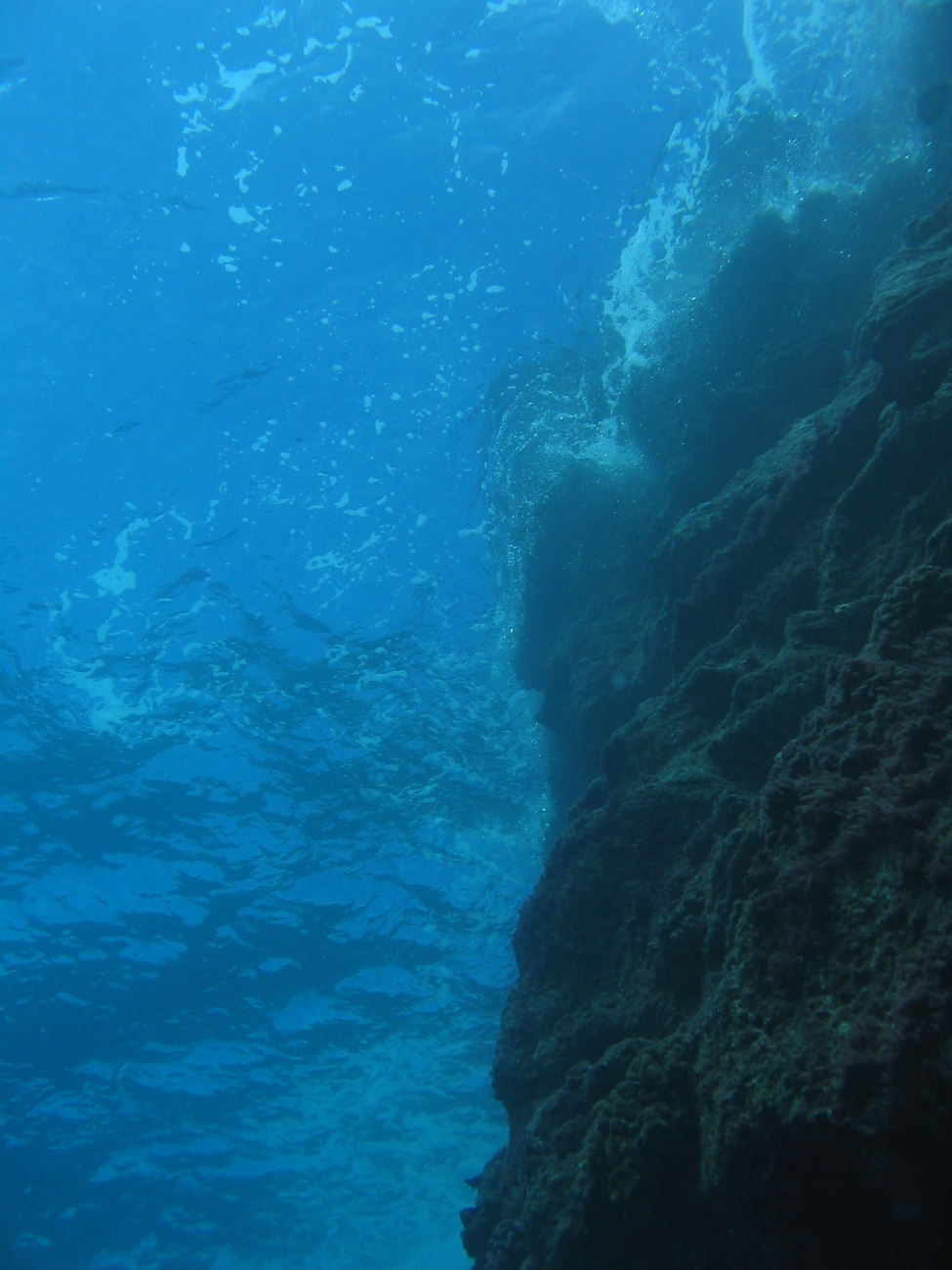 Shallow vertical reef face at French Frigate Shoals
