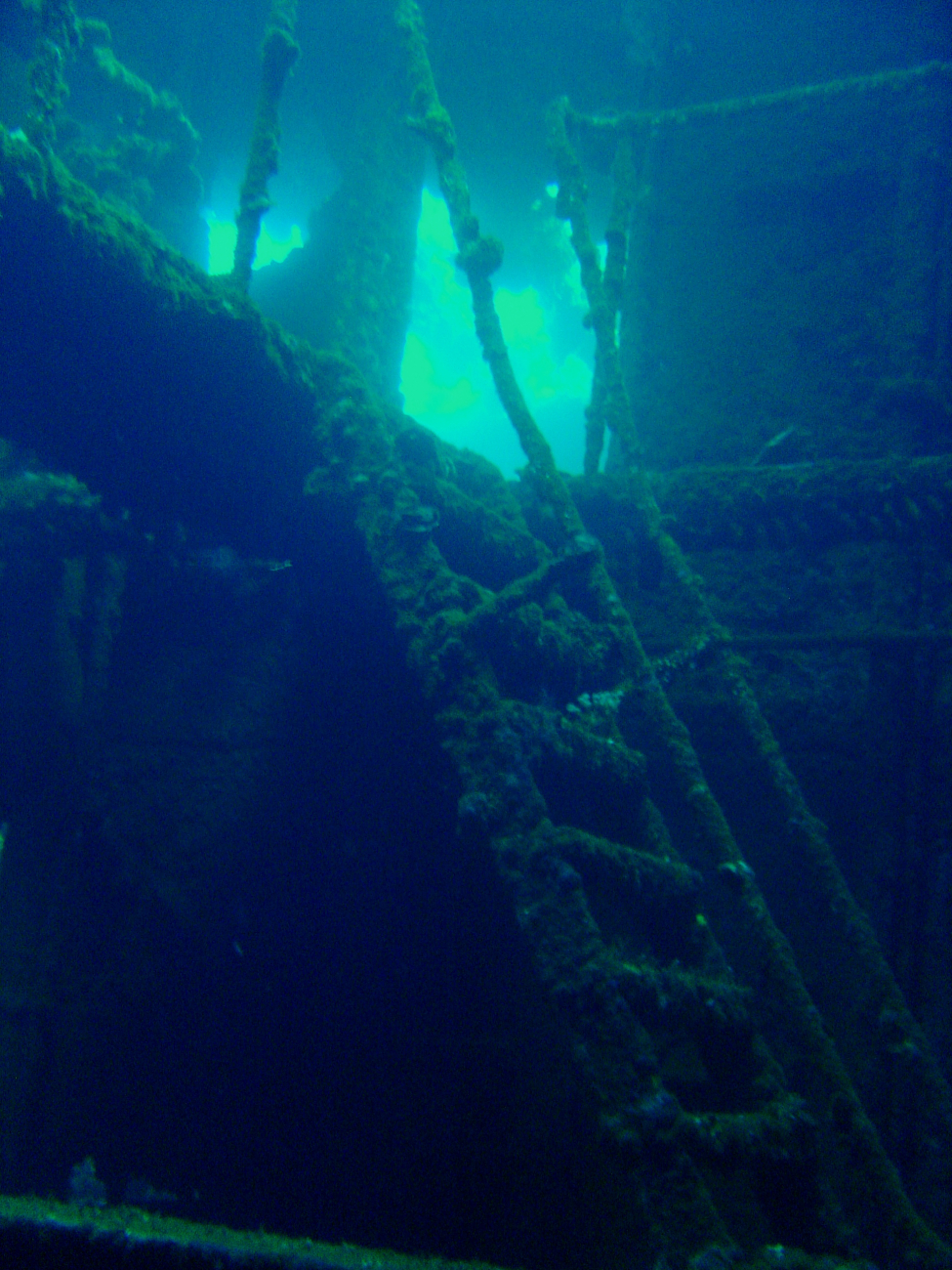 Staircase to Davy Jones' Locker on the Fujikawa Maru
