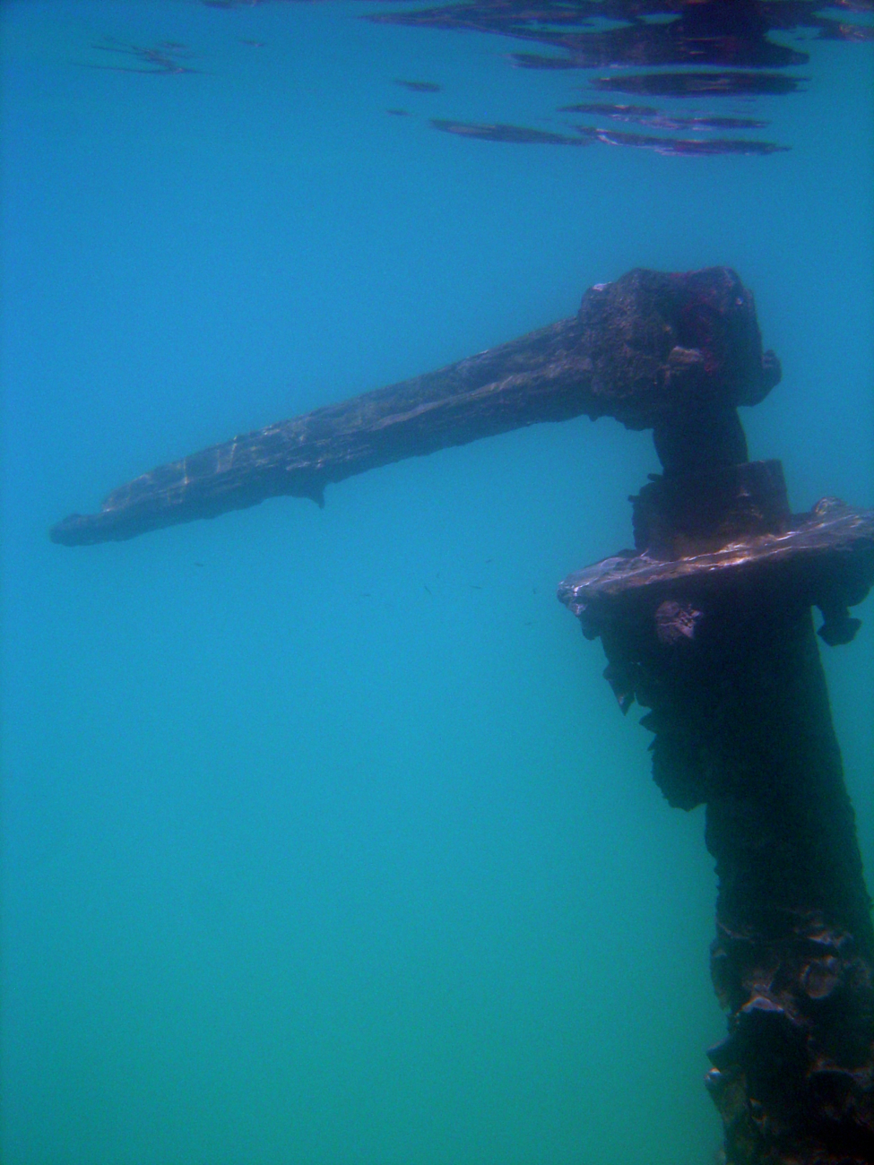 Valve on shipwreck in marine lake at Palau