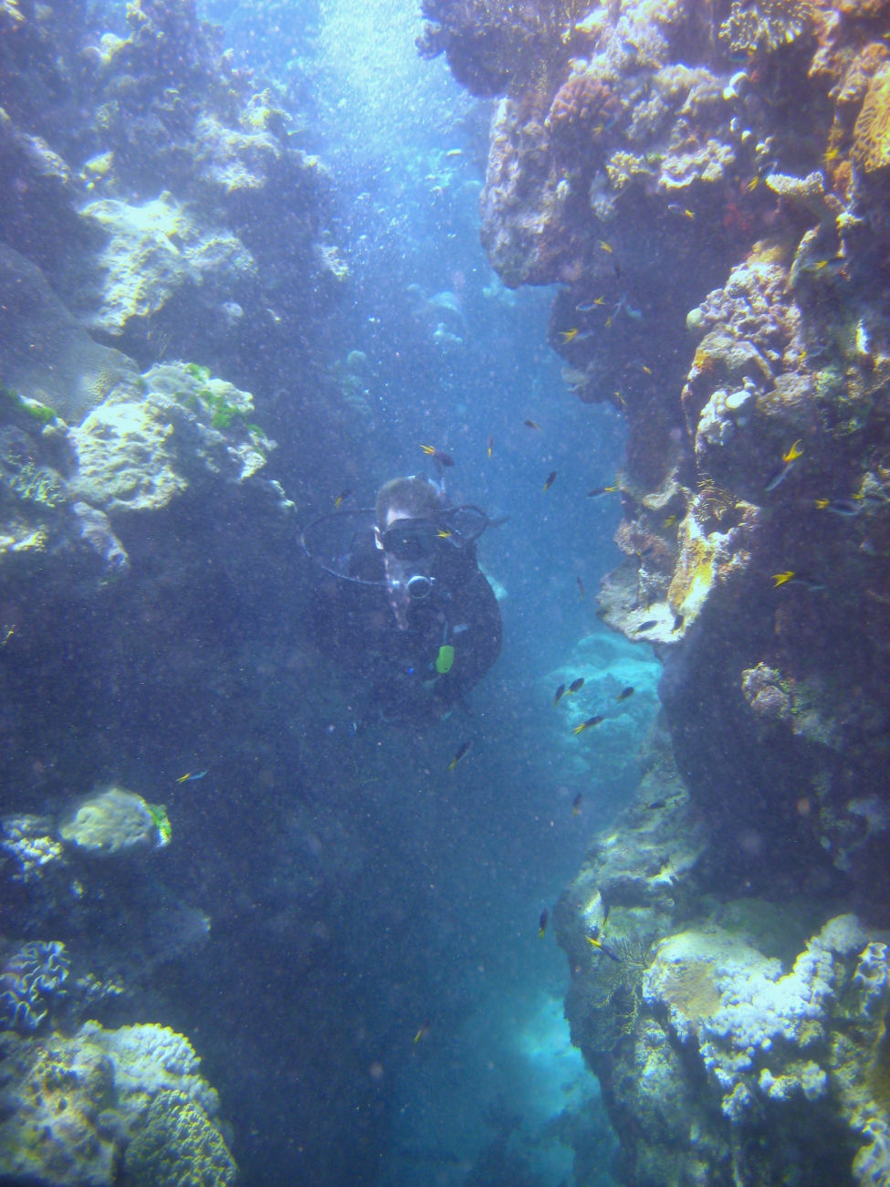 Scuba diver investigating a crevice in the reef