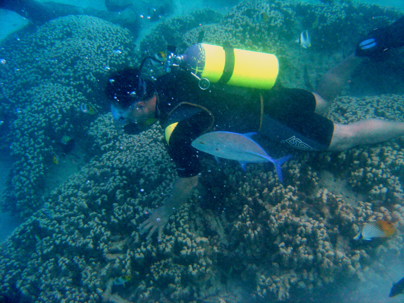 A dive tourist loving a coral reef structure to death as touching can damage orkill delicate coral polyps
