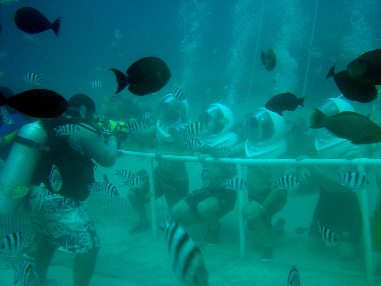 Photographing tourists at a Guam reef attraction