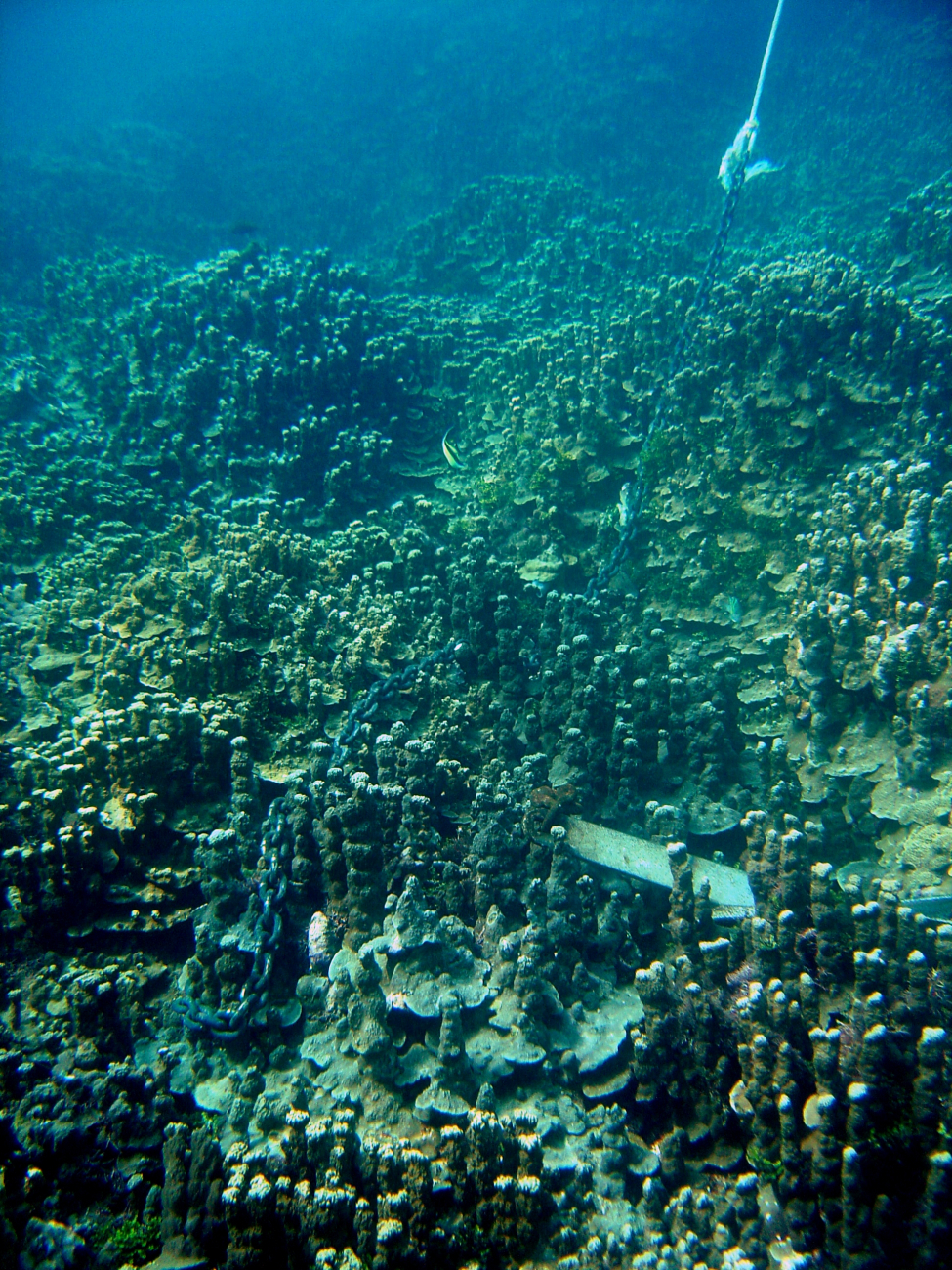 Careless anchoring adds to stress on otherwise healthy coral reef