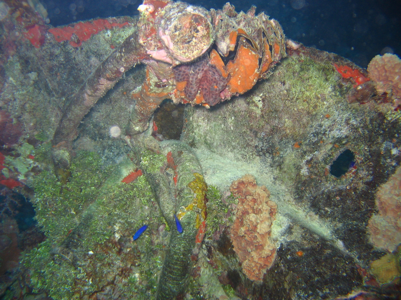 Portion of Betty Bomber engine in Chuuk Lagoon
