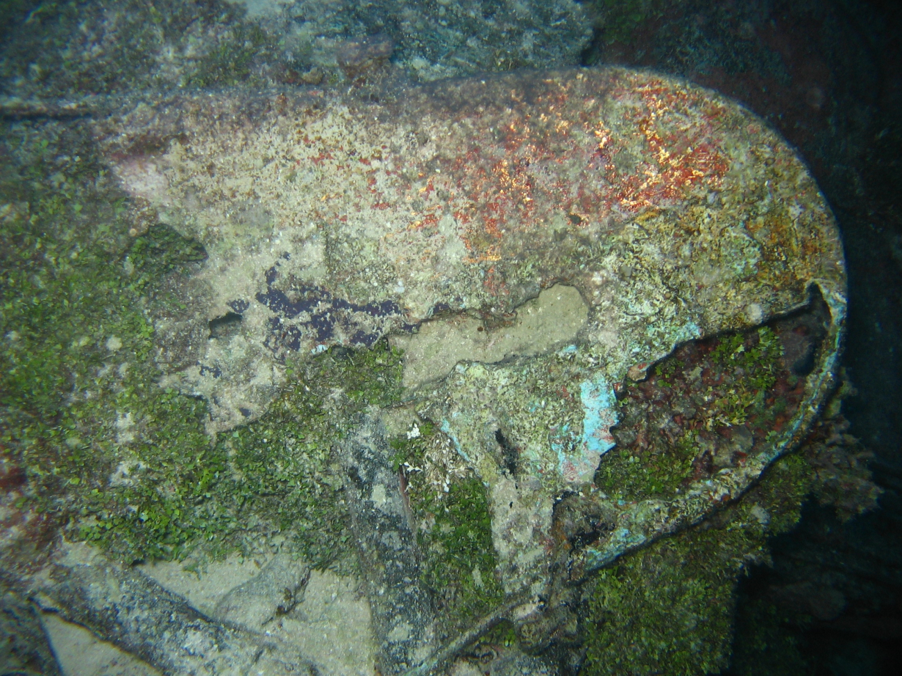 Unidentified part of Betty Bomber in Chuuk Lagoon