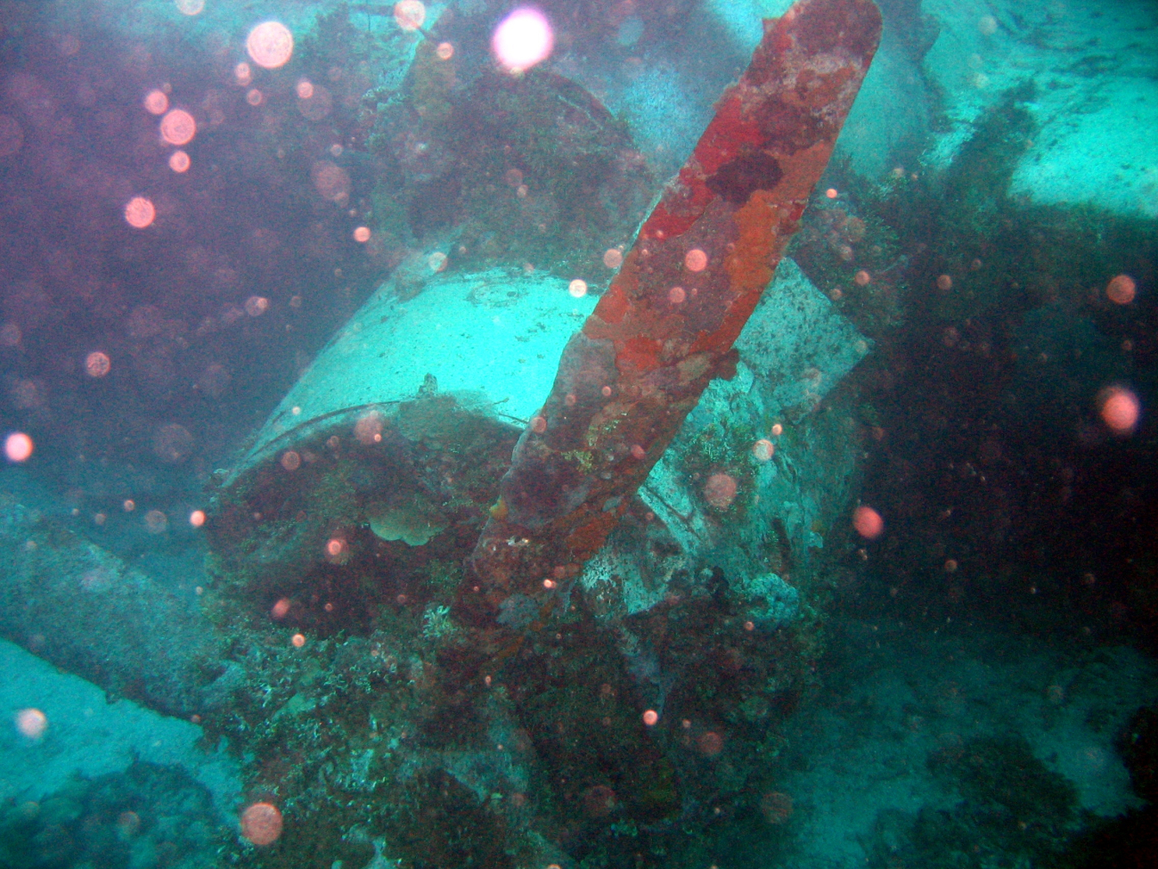 Closeup of Emily Flying Boat engine and propeller
