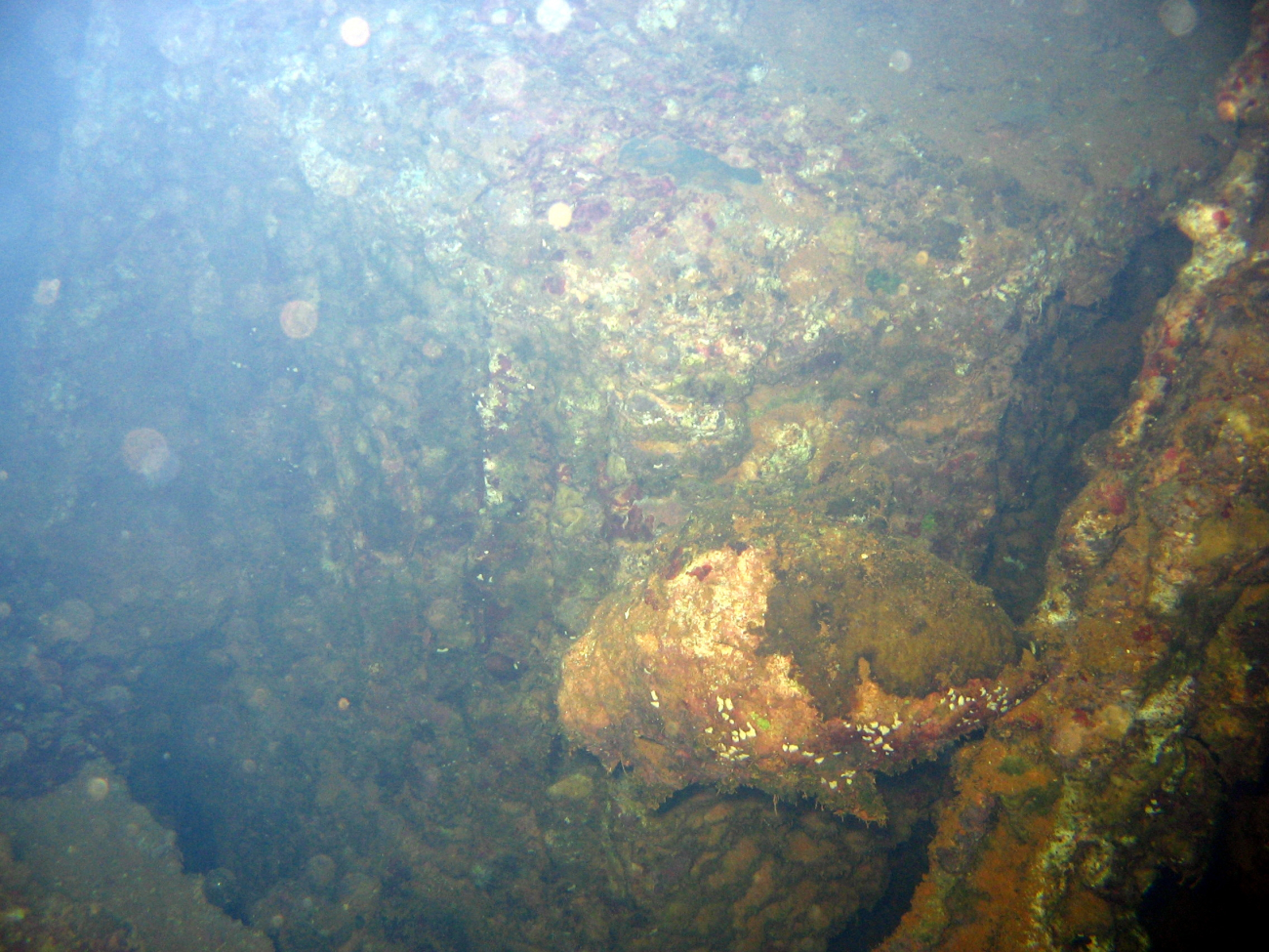 Remains of a truck on the Hoku Maru