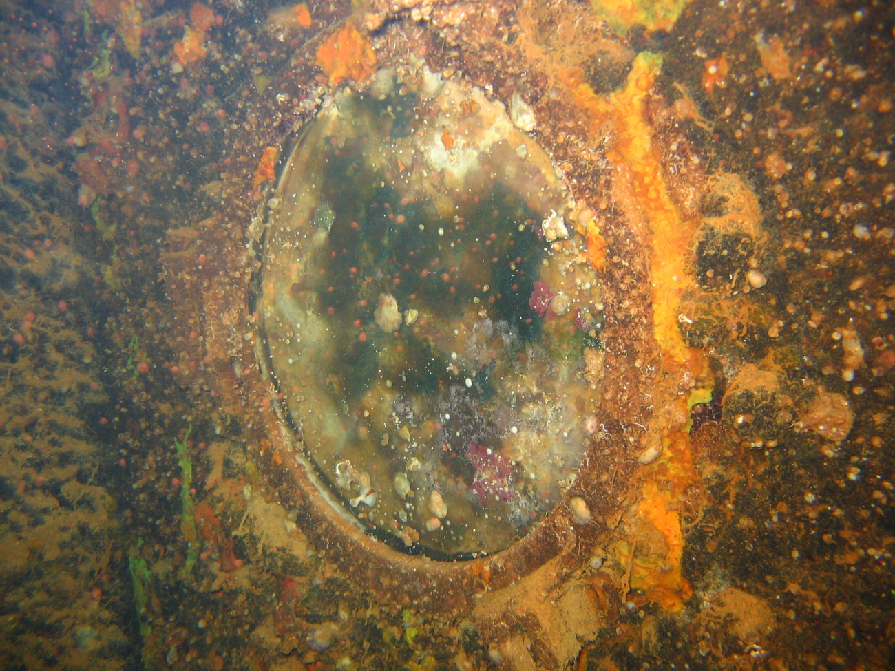 Porthole on the Kansho Maru