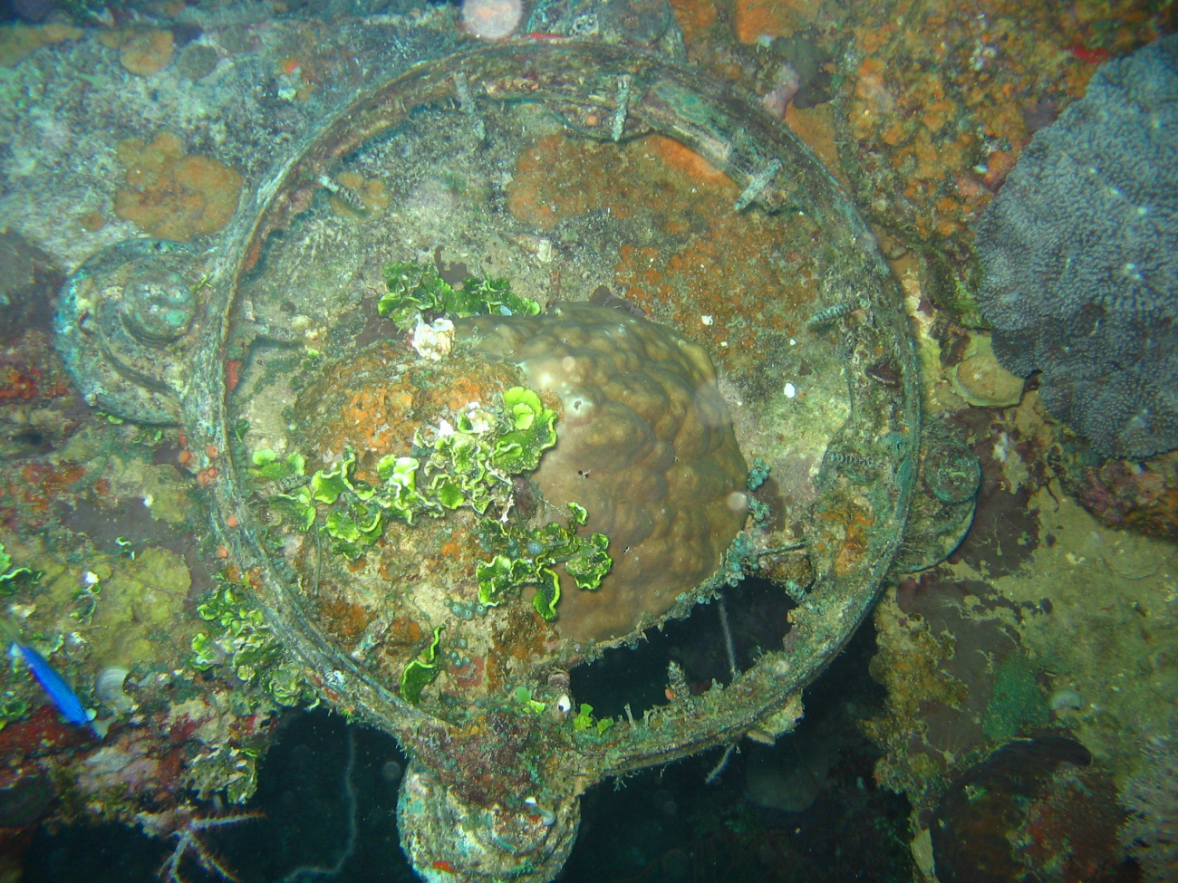 Porthole on the Kansho Maru