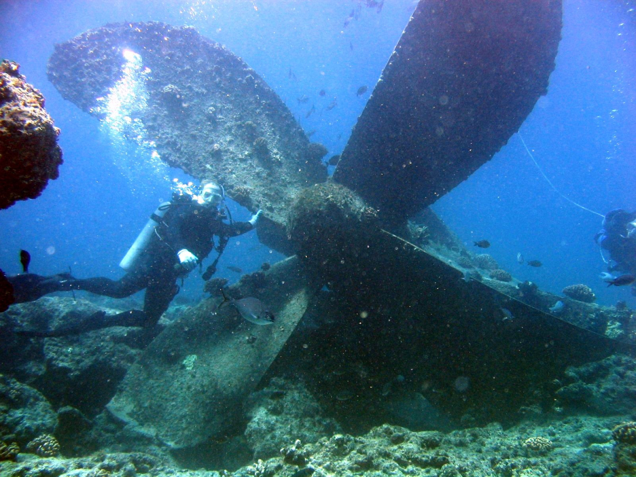 Modern ship wreck at Pearl and Hermes Reef
