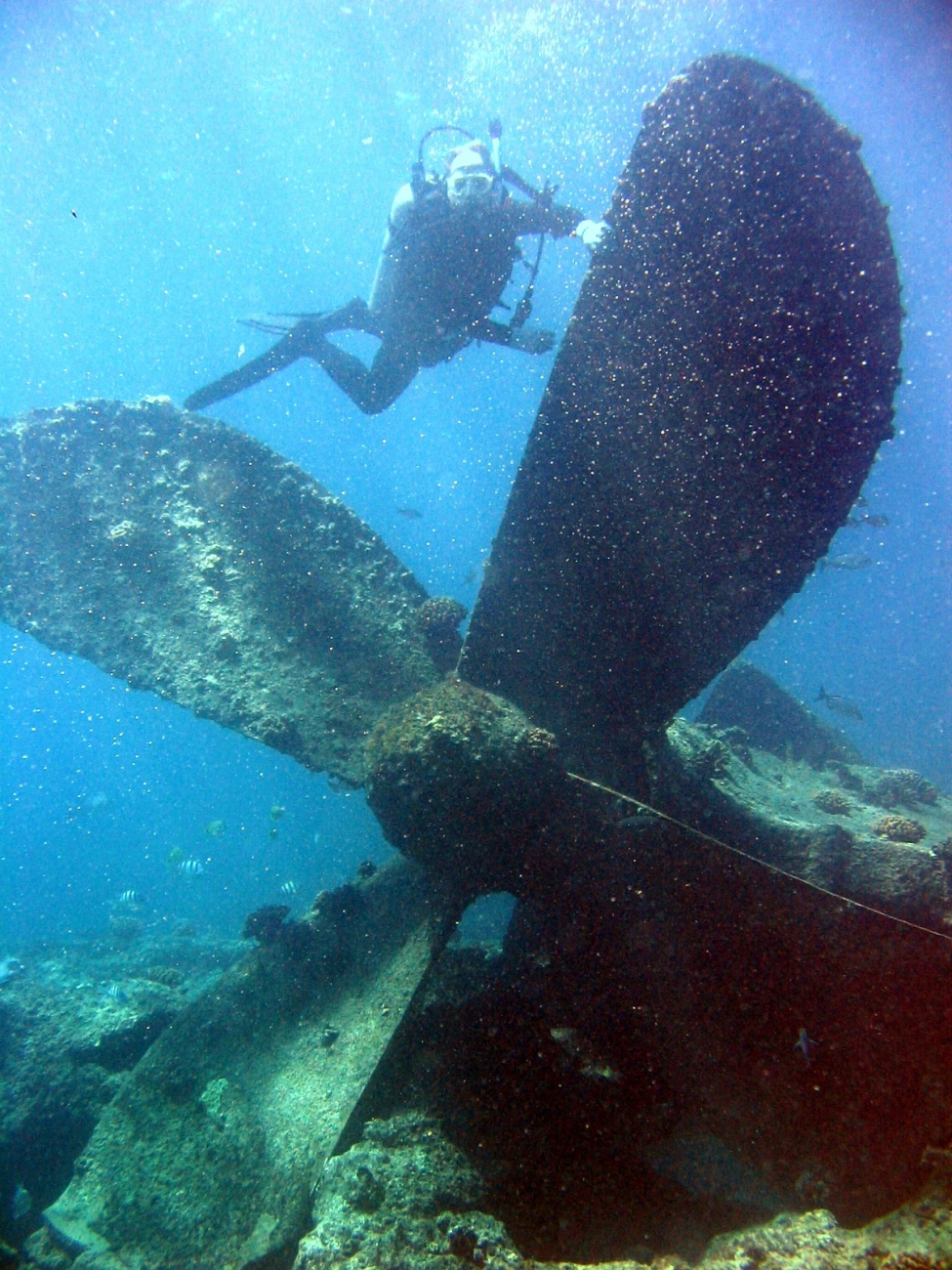 Diver next to propeller giving concept of scale of machinery from modernship wreck on Pearl and Hermes Reef