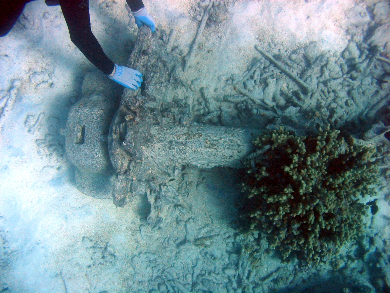 Anchor stem from early Twentieth Century wreck on Pearl and Hermes Reef