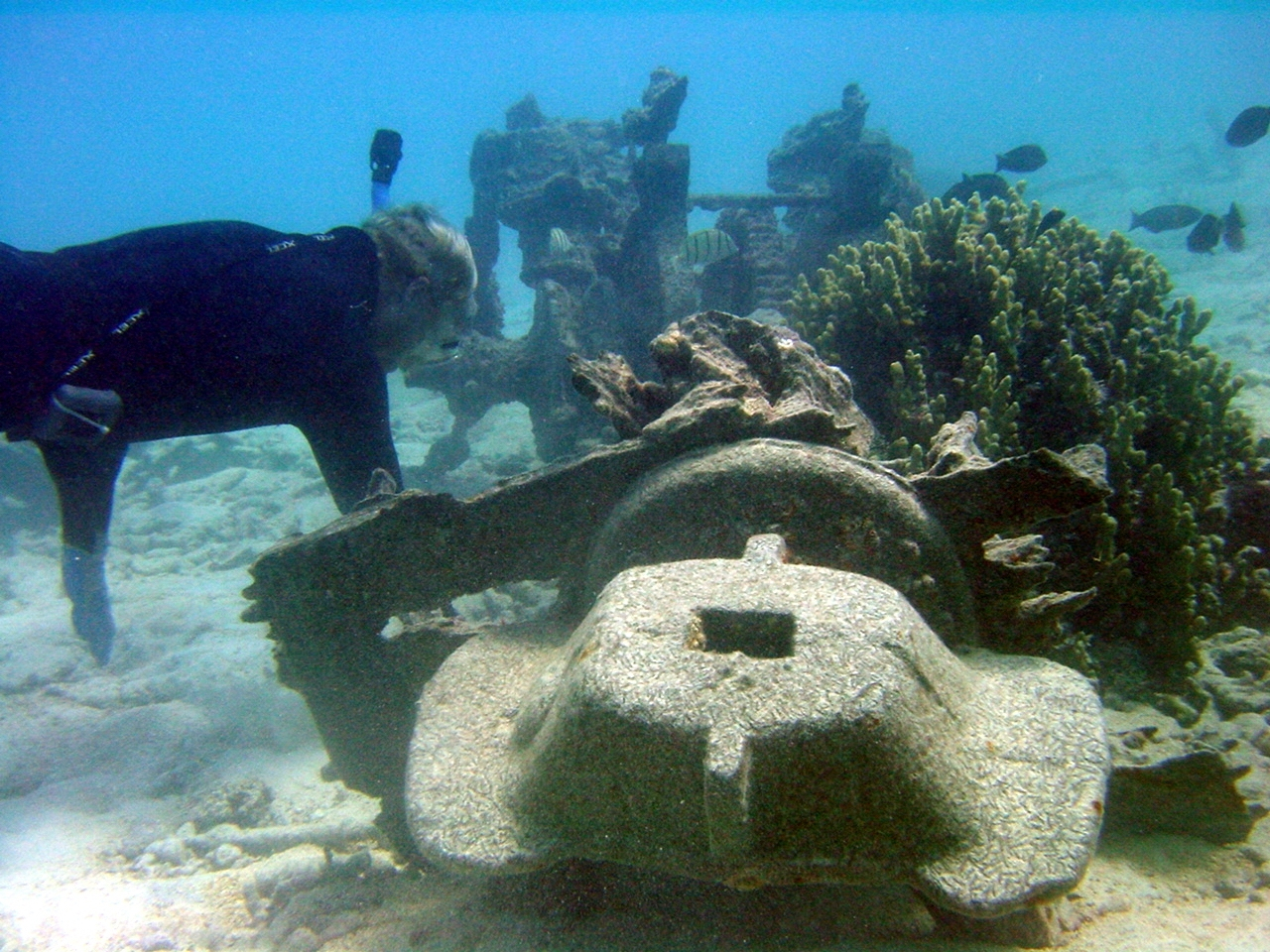 Debris from early Twentieth Century wreck on Pearl and Hermes Reef