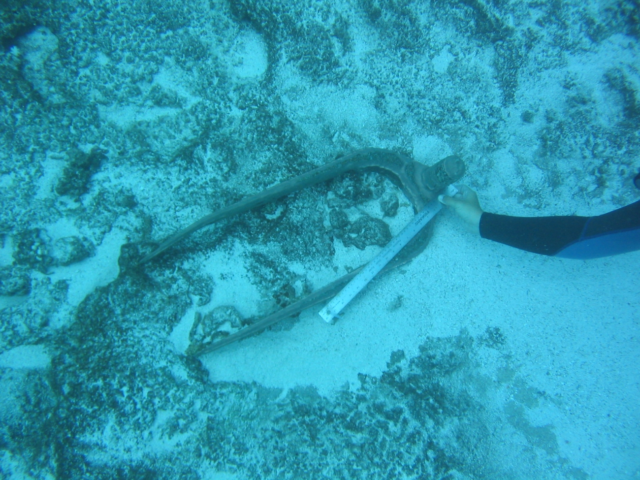Pintle from early Nineteenth Century whaling vessel on Pearl and Hermes Reef