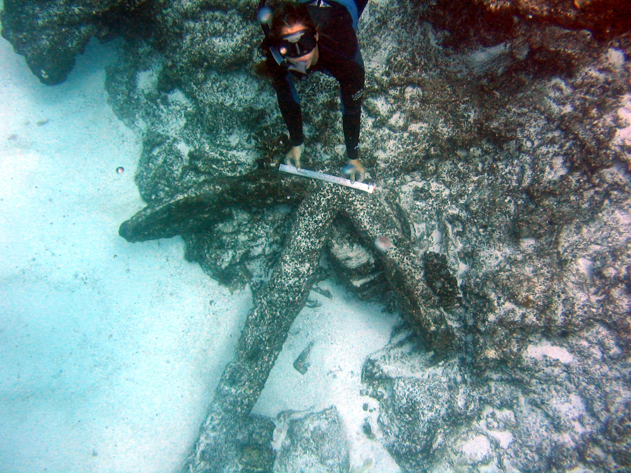 Diver shows scale of anchors seen in image reef3696
