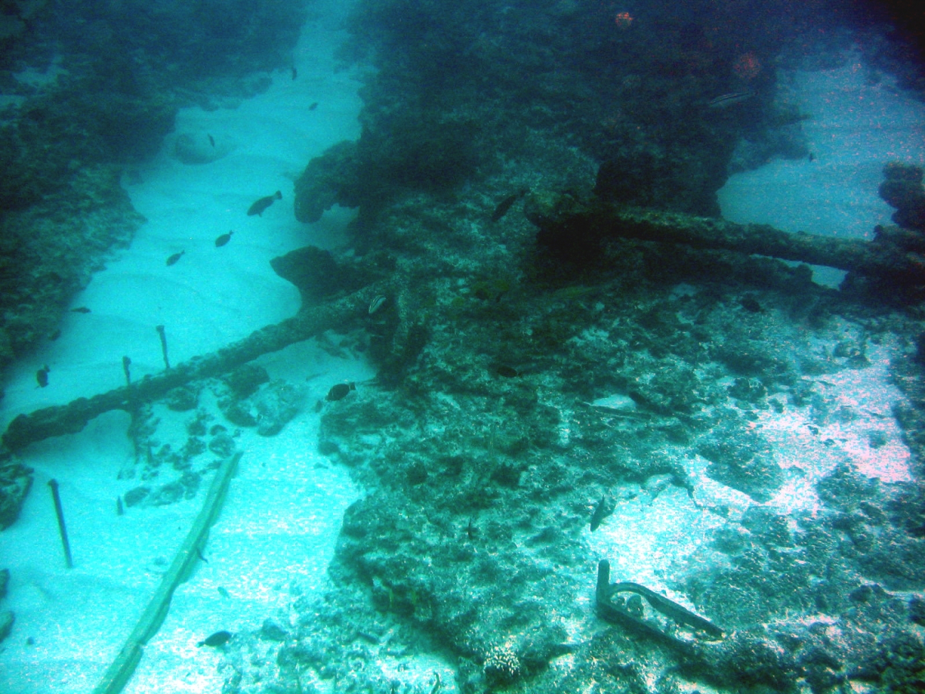 Anchors from the ship wreck of a whaling vessel on Pearl and Hermes Reef
