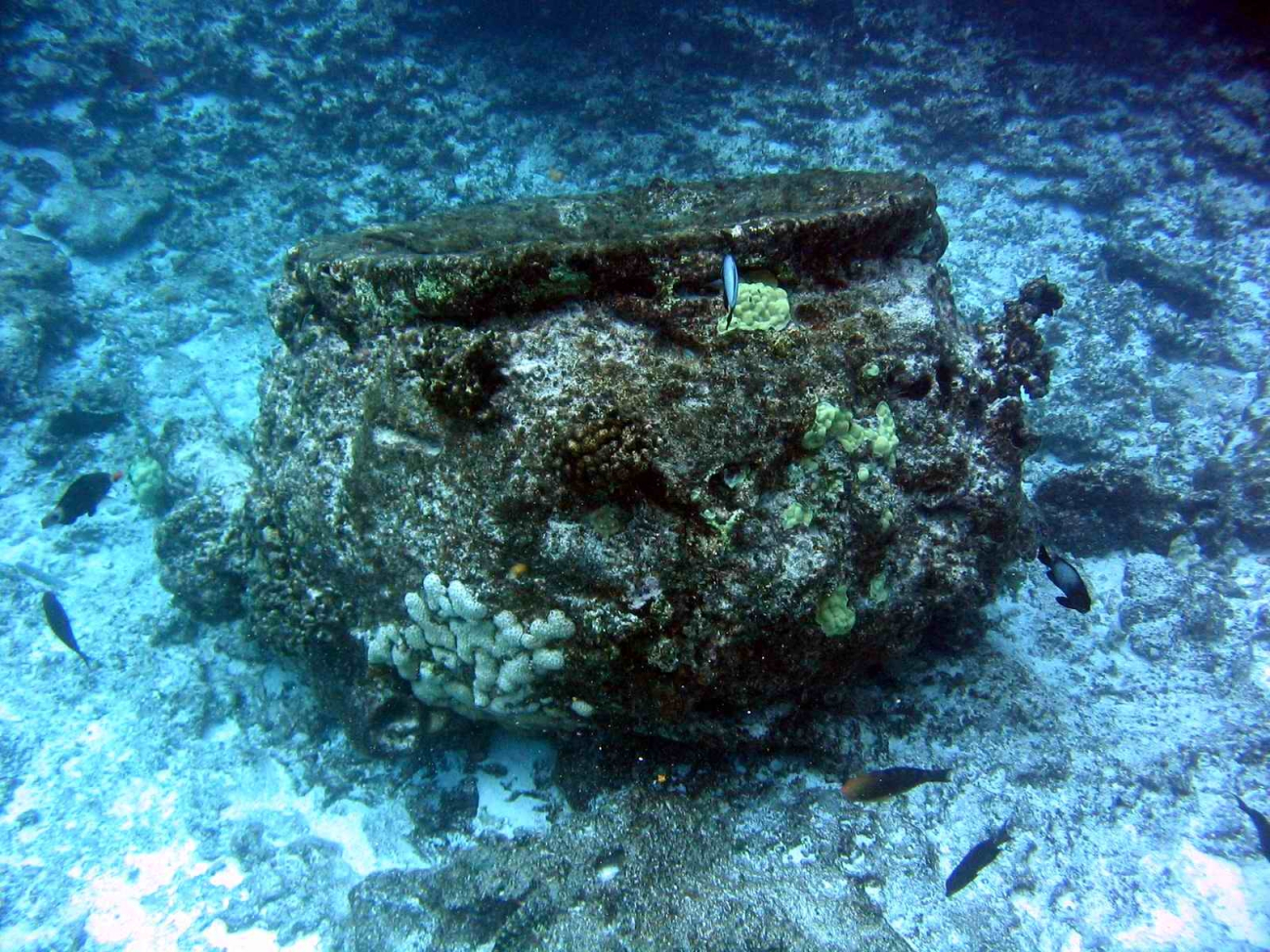 One of the blubber rendering pots from the wreck of an early NineteenthCentury whaling vessel on Pearl and Hermes Reef