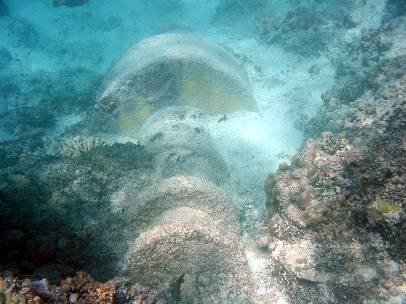 Sunken buoy on Maro Reef