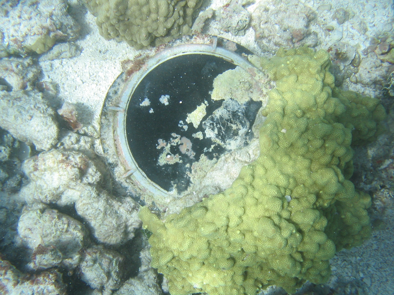 Porthole on Maro Reef