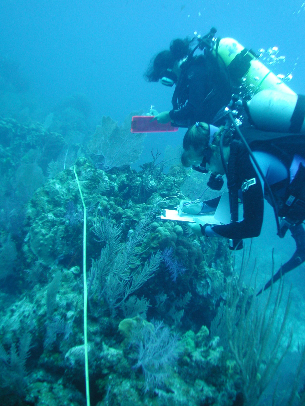 Team TZ members conducting a site survey at a depth of 40 feet