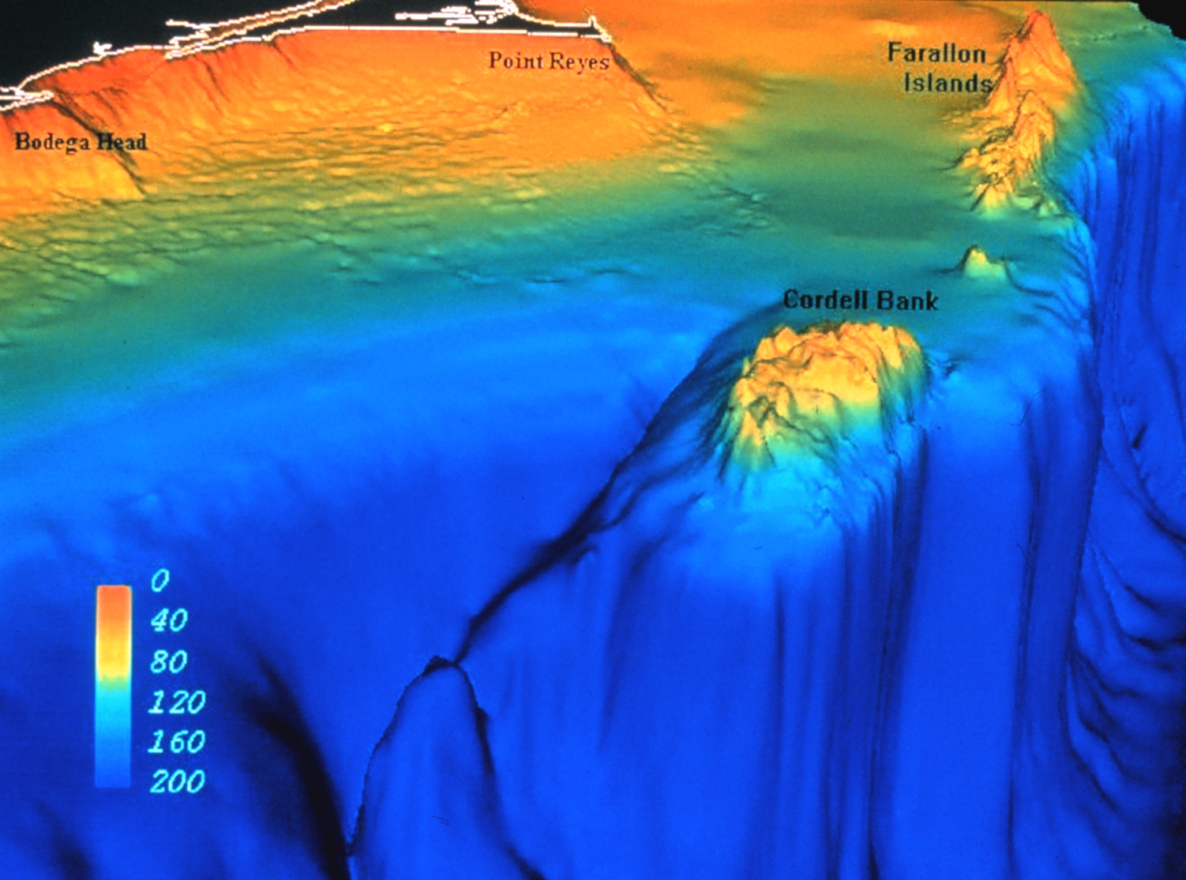 Bottom topography of Cordell Bank and the Gulf of the Farallones