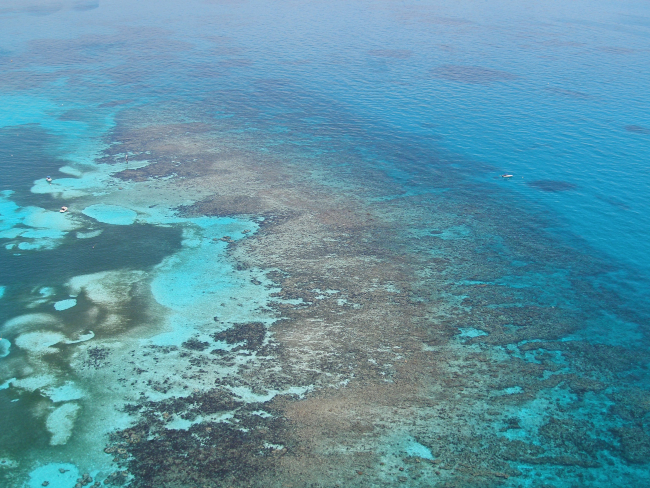 Aerial view of Carysfort Reef off of Key Largo