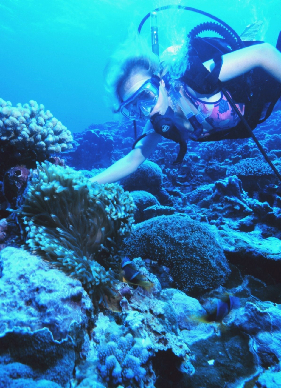 A diver on the reef at Fagatele Bay