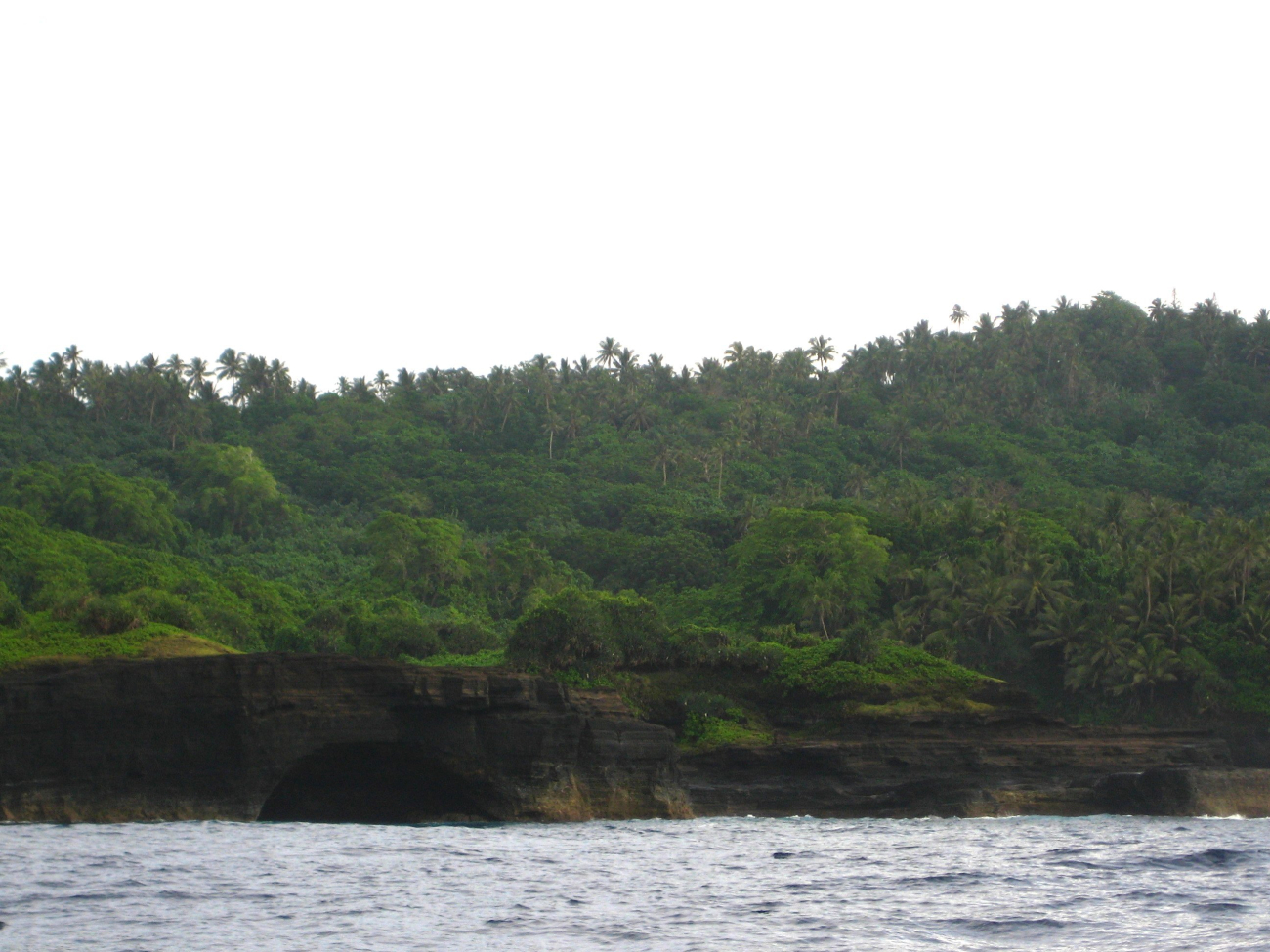 Lush vegetation above sea caves in the lava beds of American Samoa