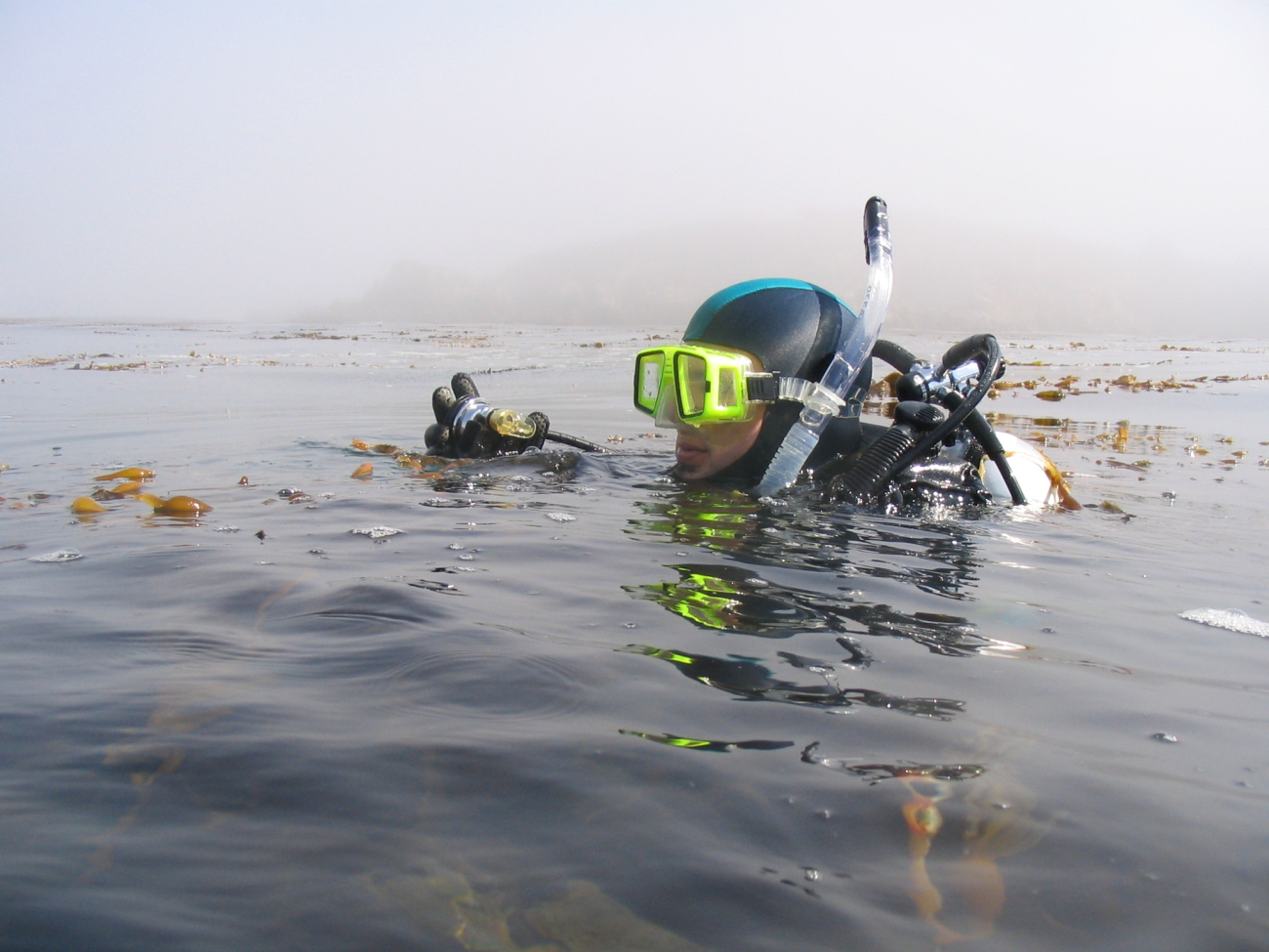 Scientific diver Kevin Stierhoff prepares to descend into a kelp forestat Point Lobos State Reserve