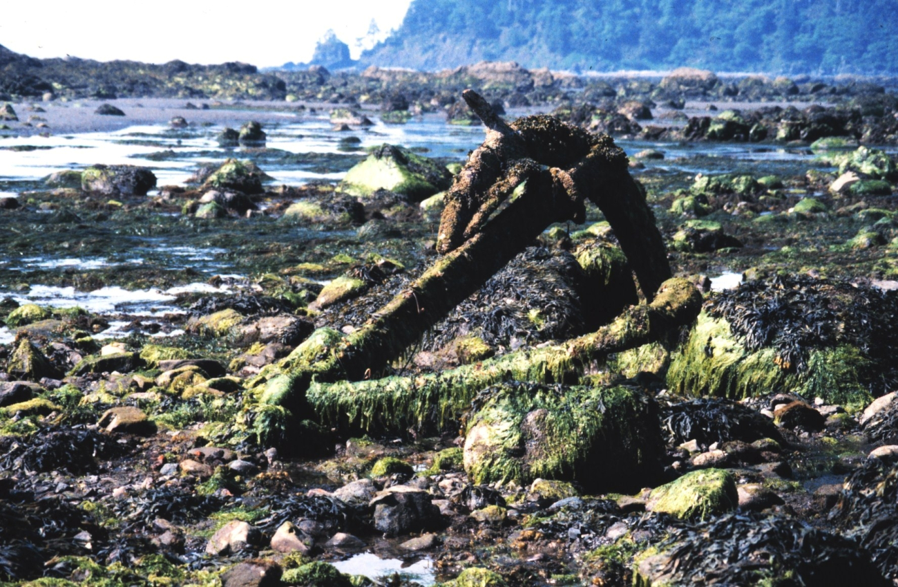 Remains of an anchor at Cape Alava