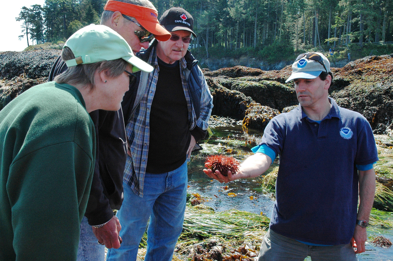 Greg McCormack,  Naturalist and Education Specialist for the OlympicCoast National Marine Sanctuary, is talking to a group of volunteerdocents about the structure and life cycle of a purple sea urchin