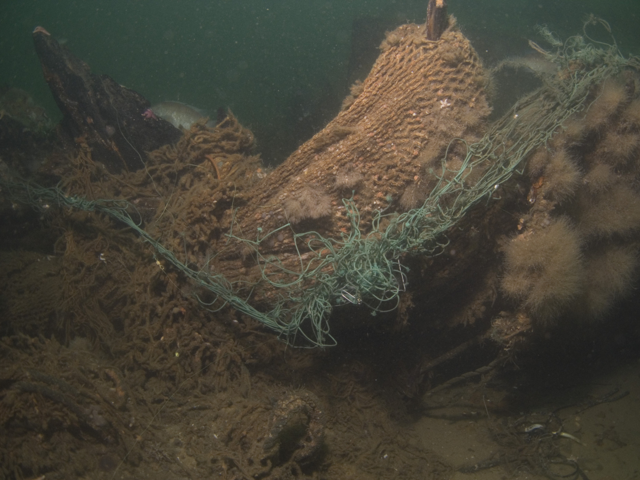 Fishing gear that has entangled historic shipwrecks harms the wreck'swooden structure as well as the marine life that reside there