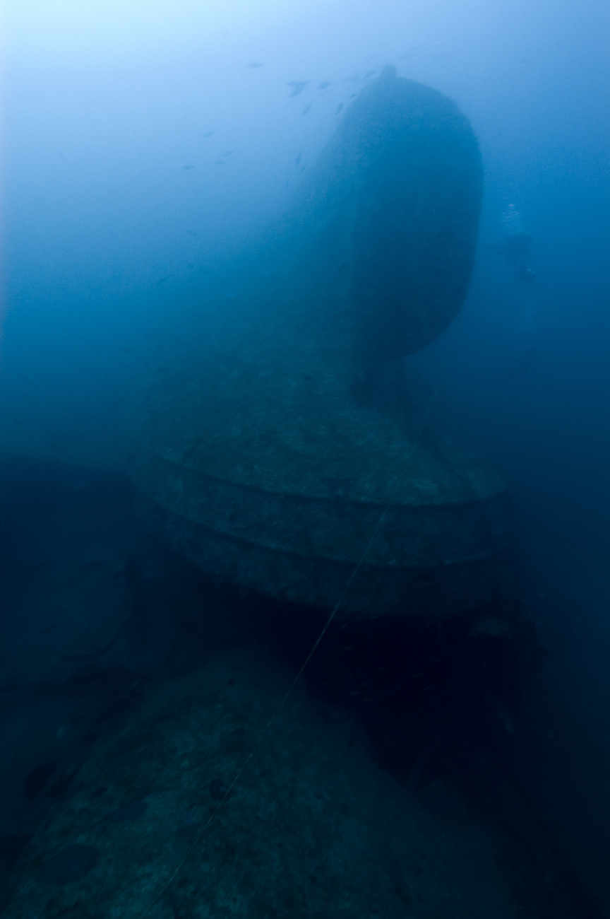Upside-down rudder of the NORTHERN LIGHT, a shipwreck in 190 feet waterdepth