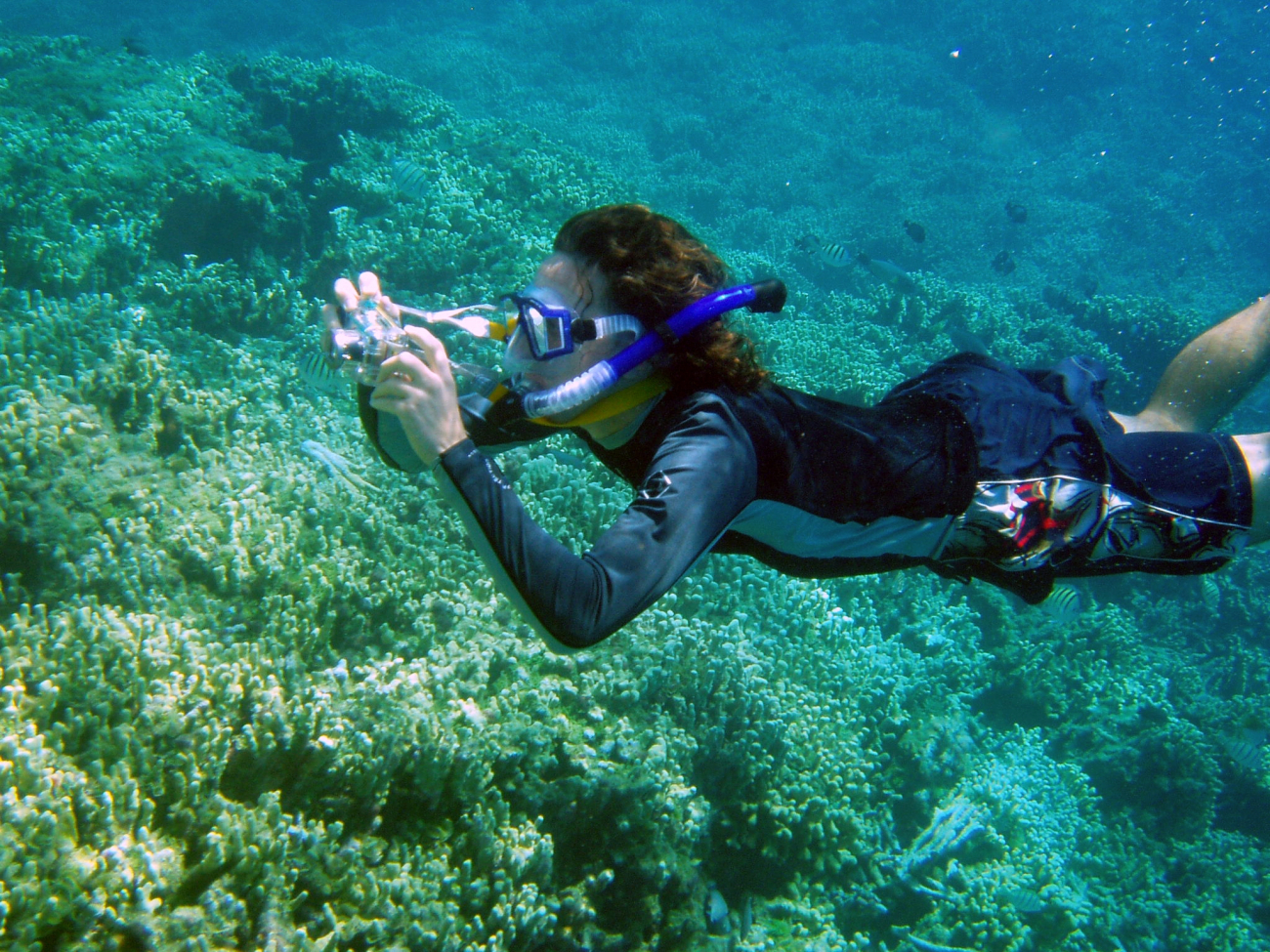 Paulo Maurin photographing reef vistas while snorkeling