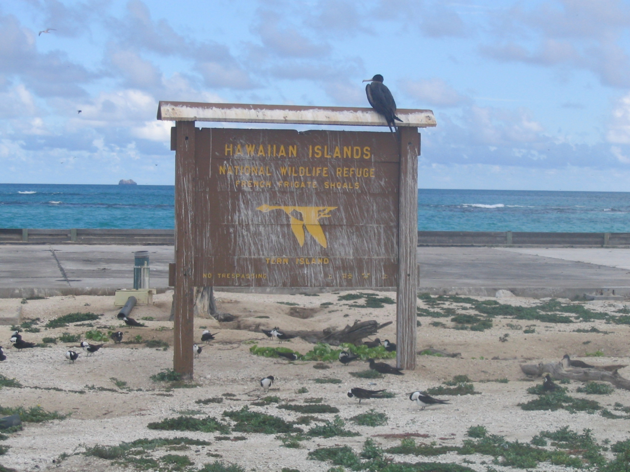 French Frigate Shoals, Tern Island, Hawaiian Islands National Wildlife Refuge