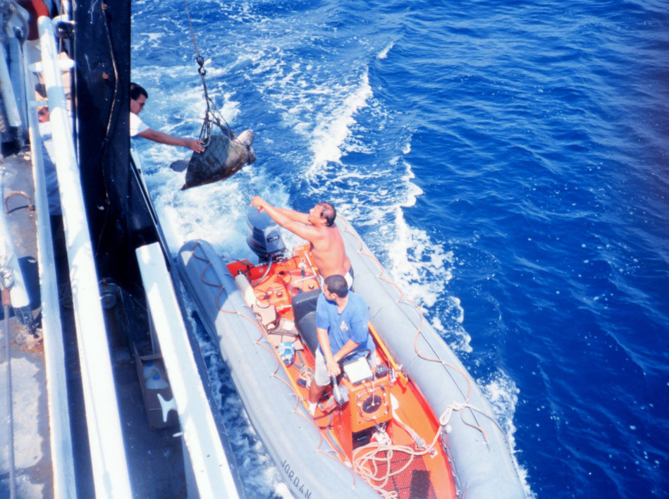 Launch alongside NOAA Ship DAVID STARR JORDAN passing marine turtle aboard for