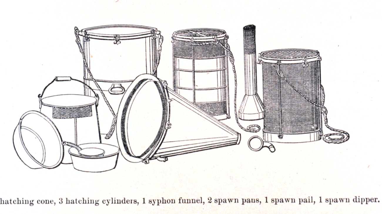Paraphernalia used in fish hatching operations
