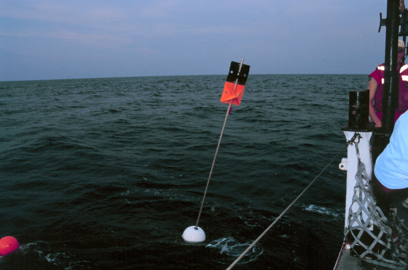 Marker buoy deployed from the NOAA Ship FERREL forlong-line fishing during shark studies