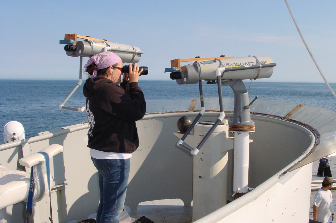 Marine mammal observer at work on the NOAA Ship DELAWARE II