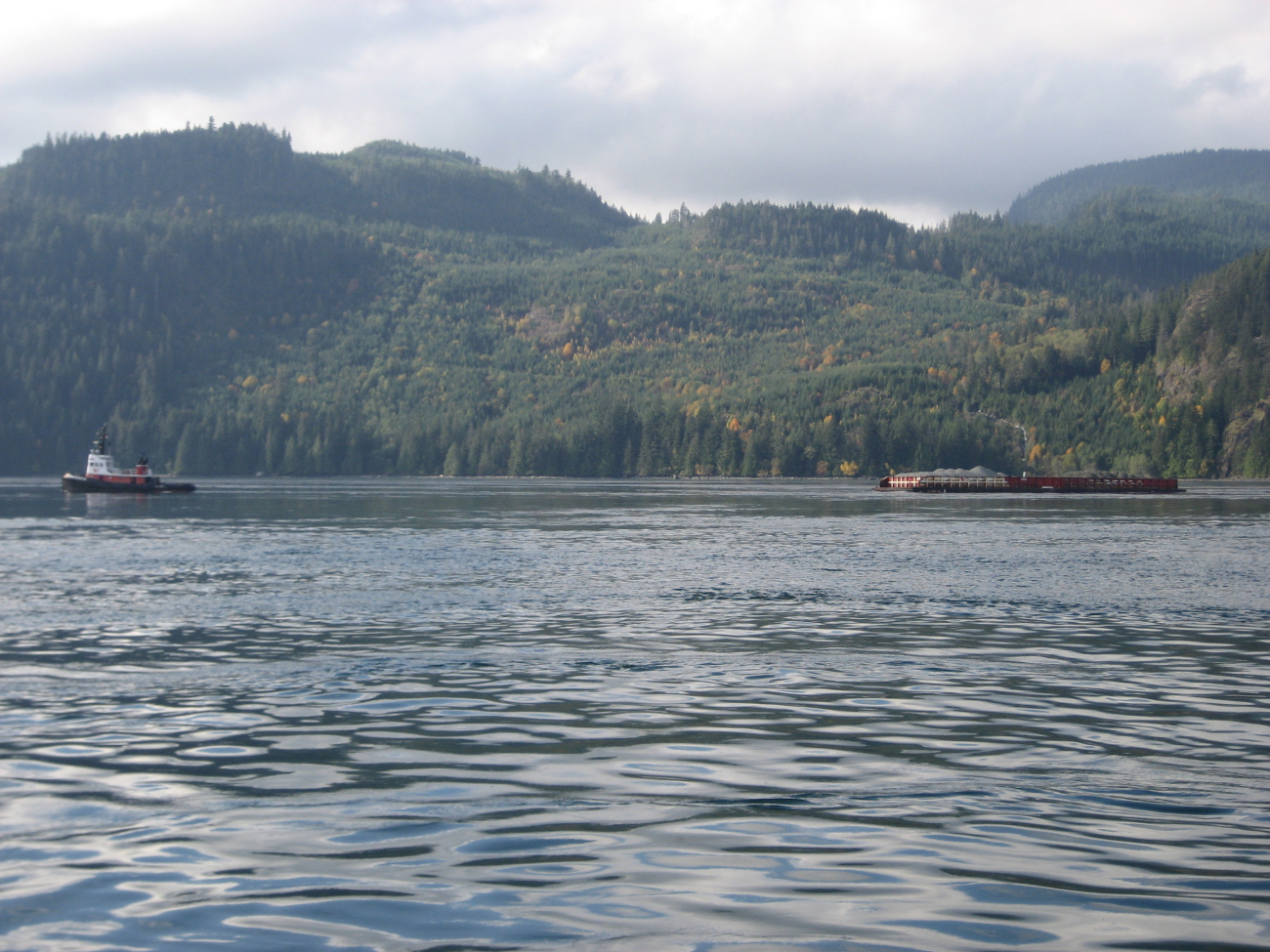 Tug and tow in the Inside Passage on the NE side of VancouverIsland