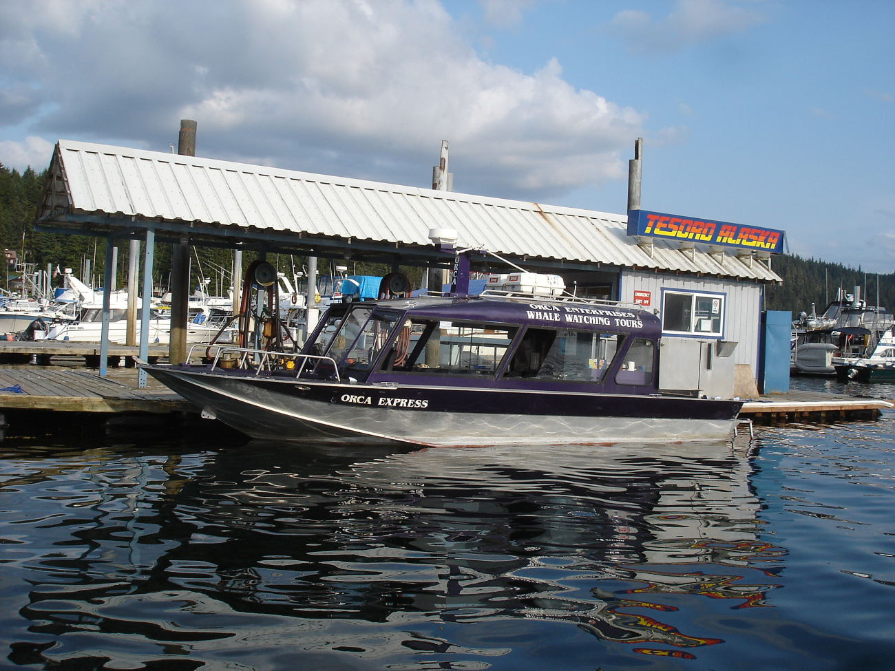 The ORCA EXPRESS, a whale-watching tour boat