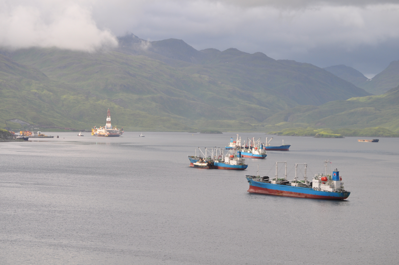Freighters waiting for cargoes at Dutch Harbor