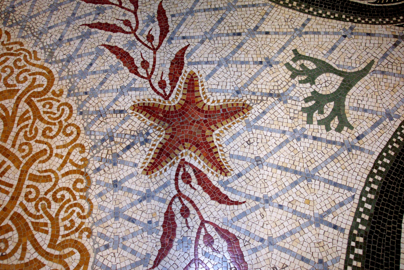 Starfish tile mural on the floor of the Oceanographic Museum at Monaco