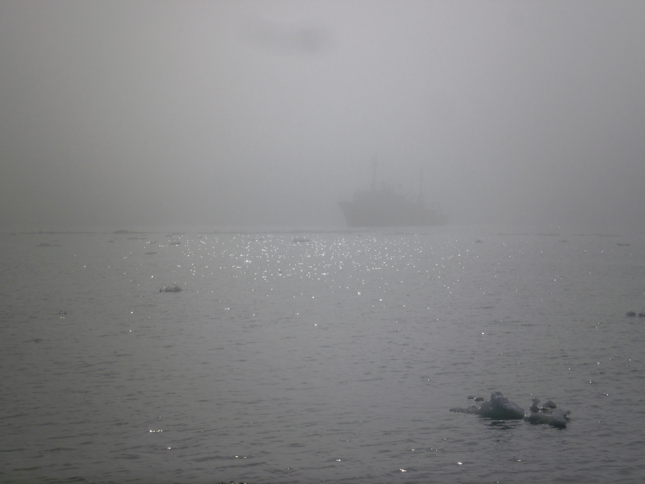 NOAA Ship FAIRWEATHER in the fog of the southern Beaufort Sea